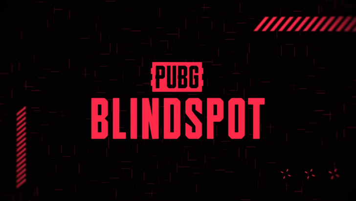Pubg Blindspot